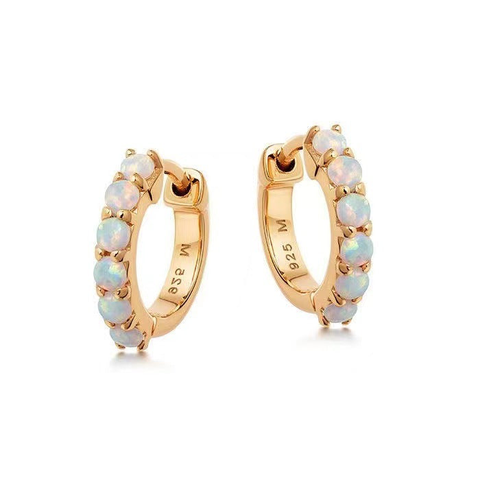 Retro Fashion Elegant Earrings For Women